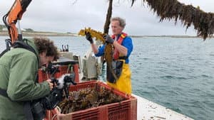 Could Algae Save the Planet?