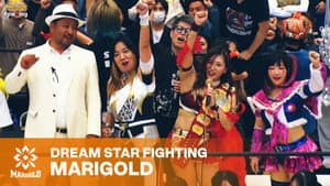 Marigold Shining Attack 2026 ~ Day 3