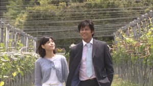 Episode 11