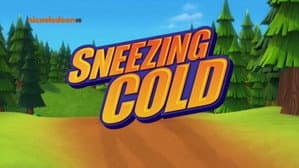 Sneezing Cold