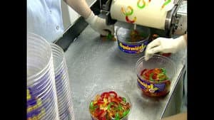 Gummies, Aluminum Cans, Fish Farming, Bronze Sculptures