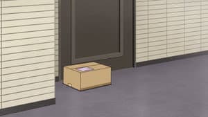 The Porch Pirate Epidemic