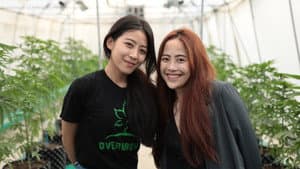 Thai High