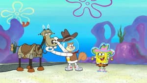 How the West Was Dumb
