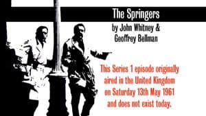 Reconstruction of episode (2) The Springers (s01e14)