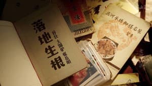 Episode 5