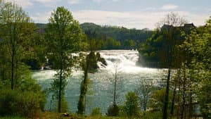 Der grüne Rhein