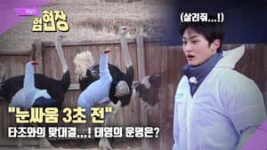 EP.116 Battle with Sheep [Extreme Real-Life Job Site Special Part 2]