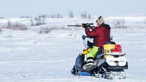 Winter Kill