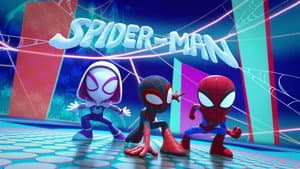 The Spidey Team