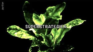 Super strategies