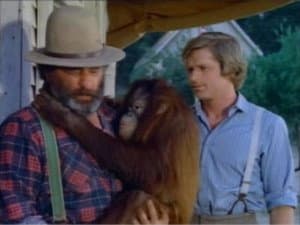 For the Love of Blanche