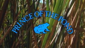 Prince of the Pond