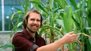 How Do Plants Live?