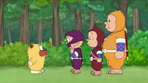 Shishimanu's Training