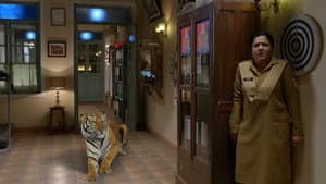 Tiger In The Station