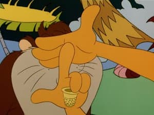 A Dingo's Guide to Magic
