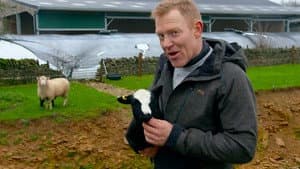 Down on the Farm