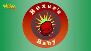 Boxer's Baby