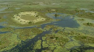 Okavango River