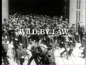 Wild by Law