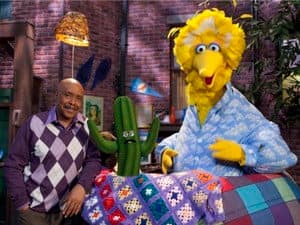 What's in Big Bird's Nest?