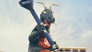The Adventure Nut Arrives!