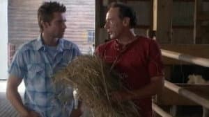 The Farmer