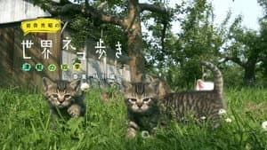 The Four Seasons: Spring & Summer Special