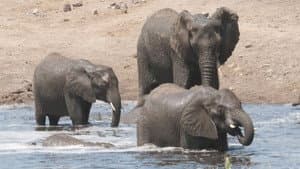 Limpopo River