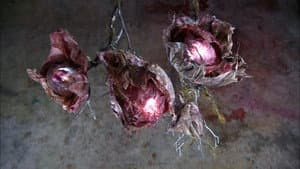 Zip Line Brakes, Silk Fiber Lamps, Round Balers, Comfort Shoes