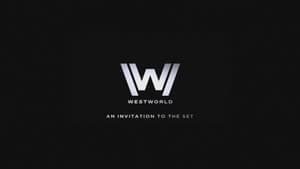 An Invitation to the Set