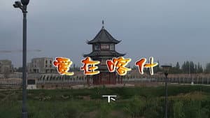 Episode 2799