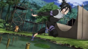 The Ninja Who Is Too Complicated