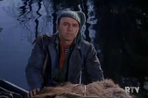 The Search