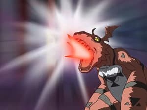 Much Ado About Musyamon