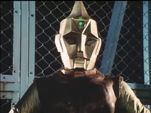 Investigating the Earthlings