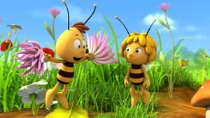 A Flower to Share