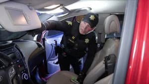 Snowmobile Pursuit