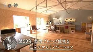 Episode 7