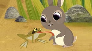 Follow the Frog