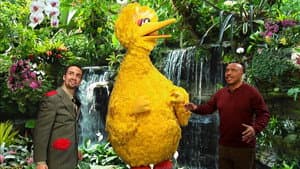 Big Bird’s Big Move
