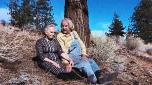 The Empty Nest