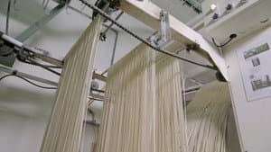 Cotton, Rodeo Roping Chutes, Asian Noodles, Rotary Engines