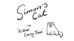 Kitten Crazy Time