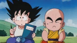 The Turtle Hermit Way