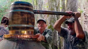 Spirit Animal