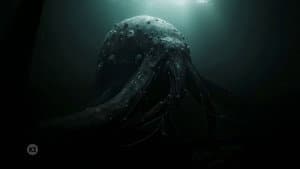 The Hunt for the Kraken