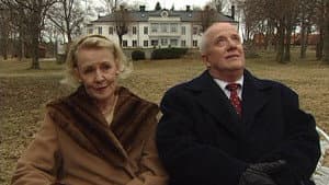 Svarta får