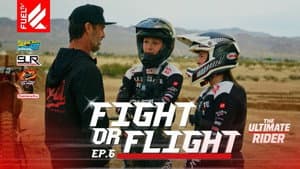 Fight or Flight